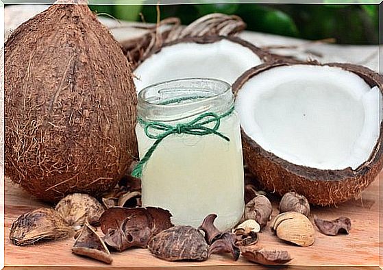 3 properties of coconut oil for dogs