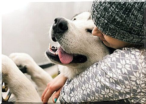 owner hugging dog