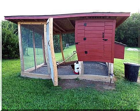 Install a chicken coop in the garden