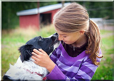 border collie-and-girl