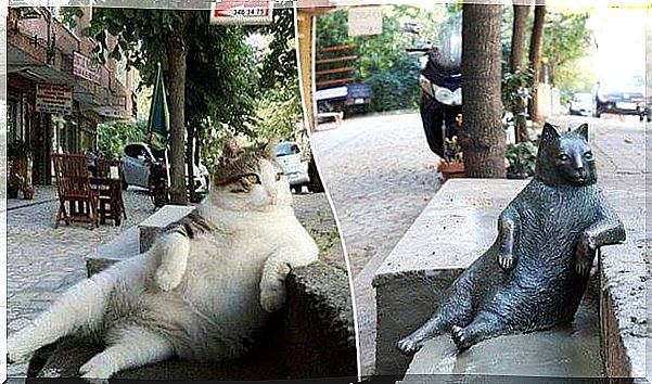 famous-cat-has-your-statue-2