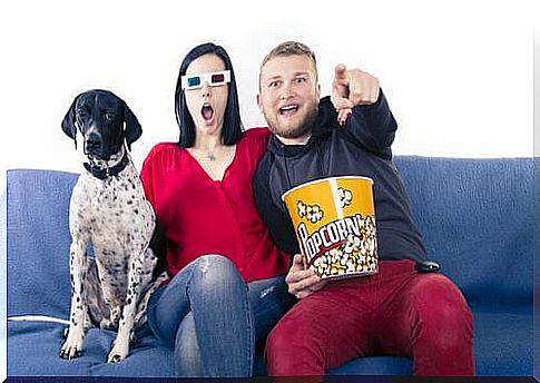 movies for dogs: watch a movie with your friend