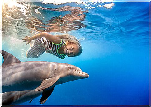 girl swimming with dolphin