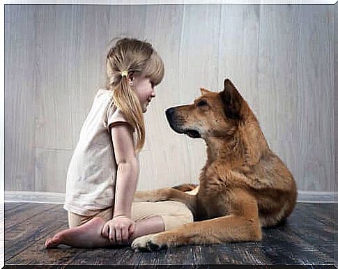 child with dog