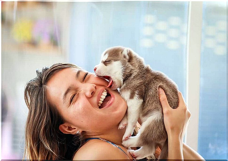 woman playing with puppy