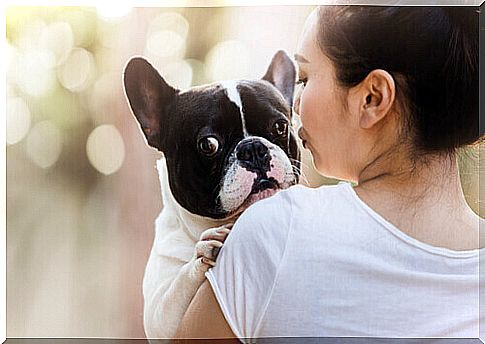 Letter from an adopted dog to its owner