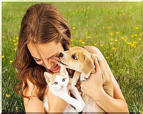 Mental Health, 5 Benefits of Owning a Pet