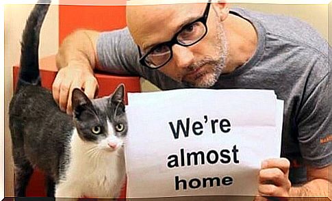 Musician Moby will donate part of his tickets to animal protection organizations