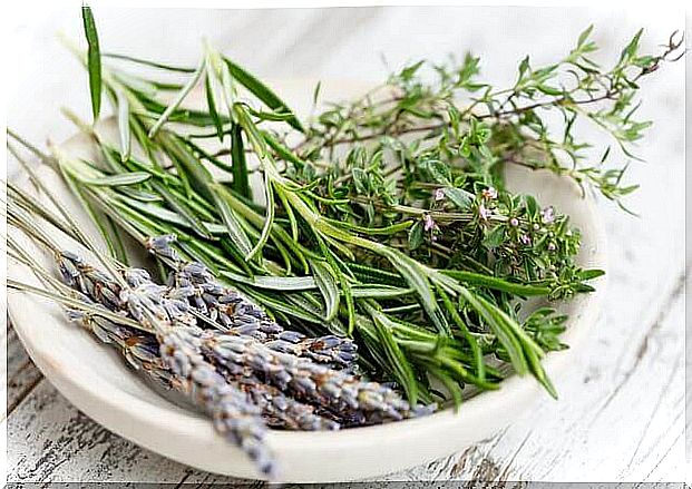 Rosemary in dog food