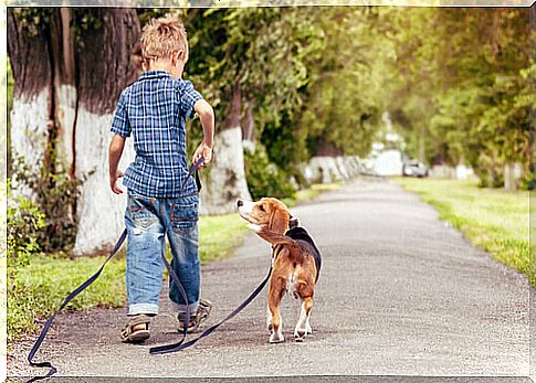 children and animals