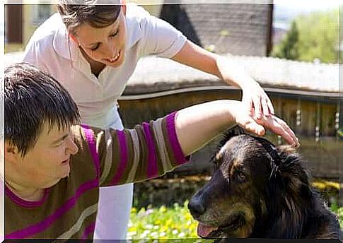 therapy animals