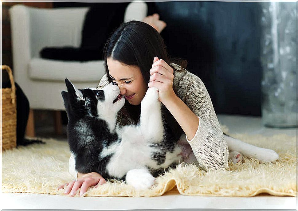 woman playing with her dog