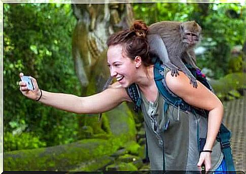 What's behind selfies with monkeys?